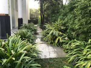 LANSCAPE DEVELOPMENT